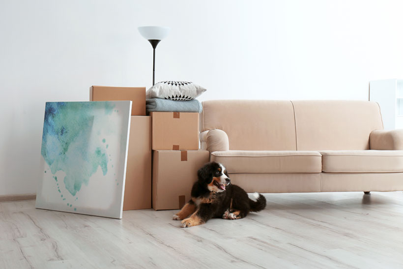 How to Pack Paintings for Moving? Movit Movit