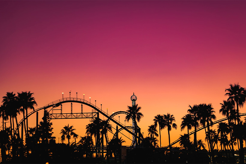 Palm Trees In Sunset - Phoenix, AZ