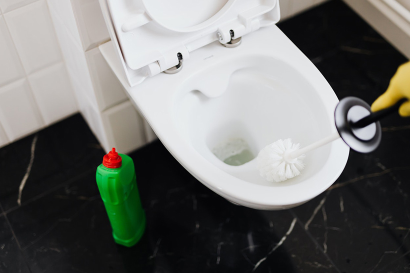 A Woman Cleans A Toilet In Hygienic Gloves